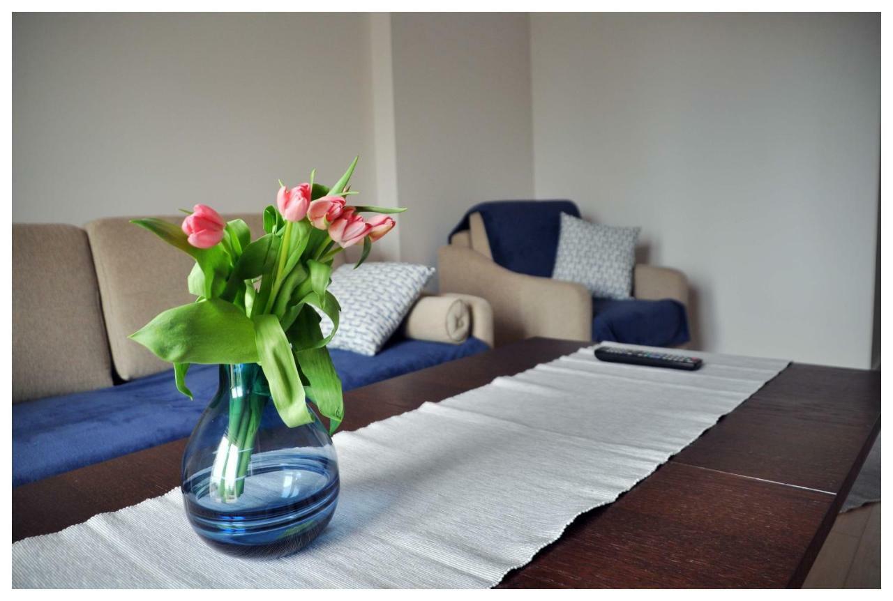 Color 24 Premium Apartman Stalowa Wola Kültér fotó